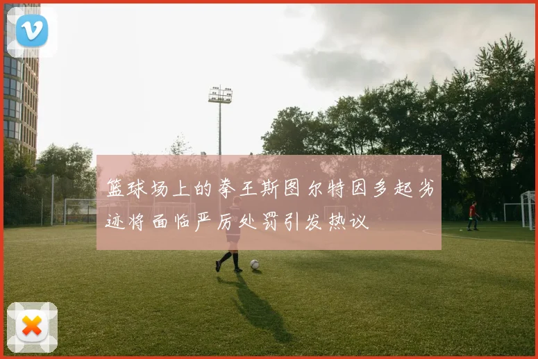 篮球场上的拳王斯图尔特因多起劣迹将面临严厉处罚引发热议