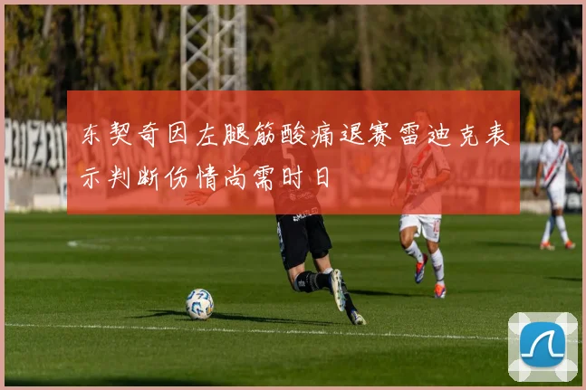 东契奇因左腿筋酸痛退赛雷迪克表示判断伤情尚需时日